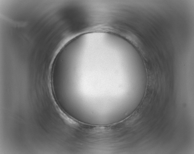 X0000064771478200602101236