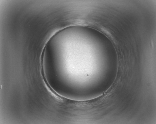 X0000064771479200602101236