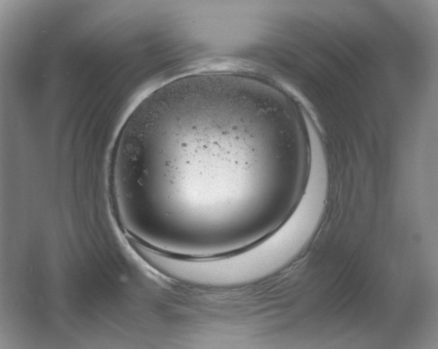 X0000064771483200602101236