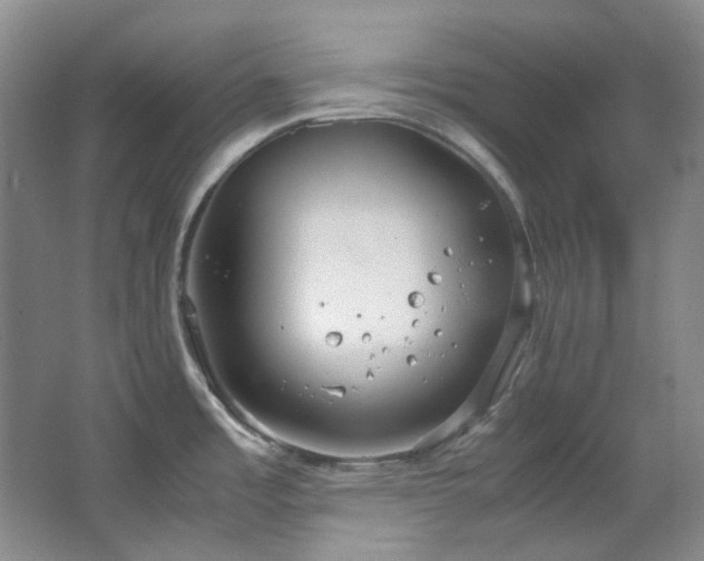 X0000064771485200602101236