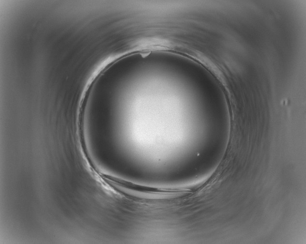X0000064771488200602101236