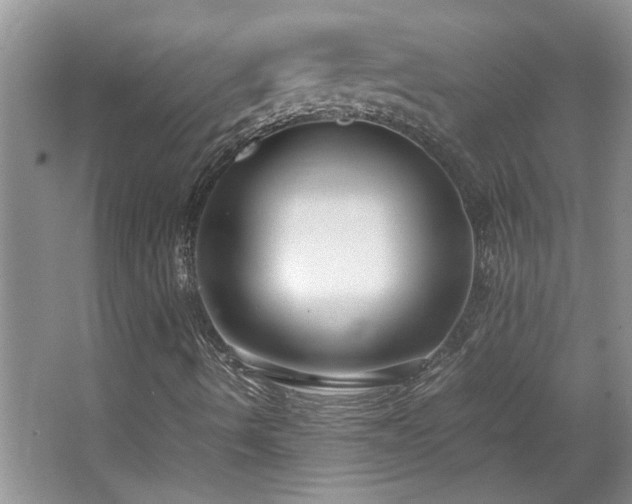 X0000064771490200602101235