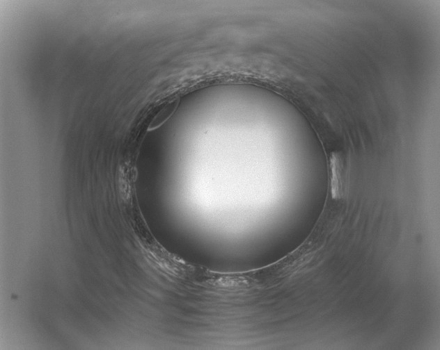 X0000064771491200602101235