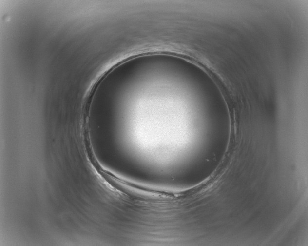 X0000064771500200602101235