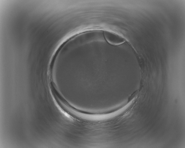 X0000064771519200602101236