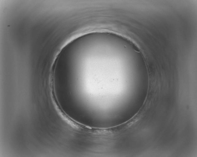 X0000064771526200602101236