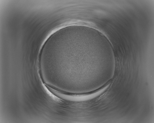 X0000064771531200602101236