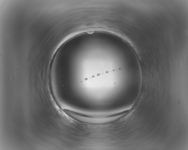 X0000064771534200602101236