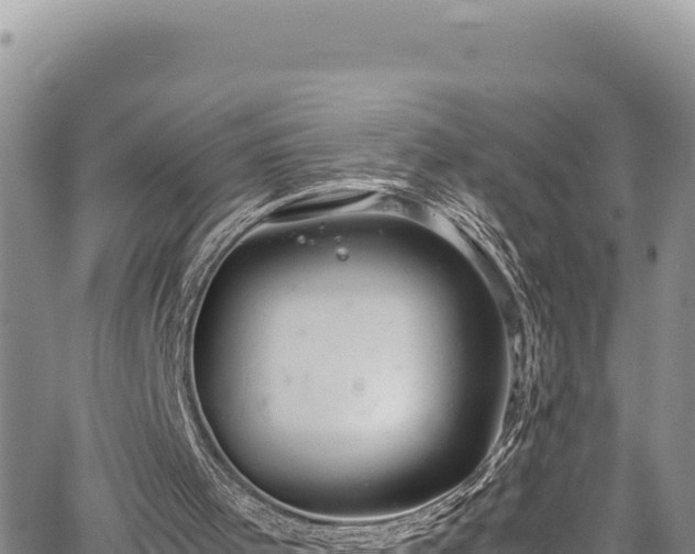 X0000064770001200602131328