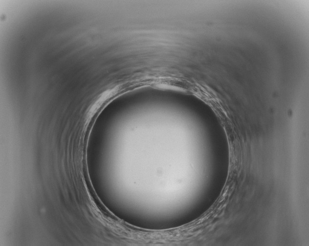 X0000064770003200602131328