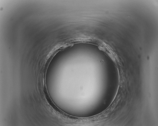 X0000064770011200602131328