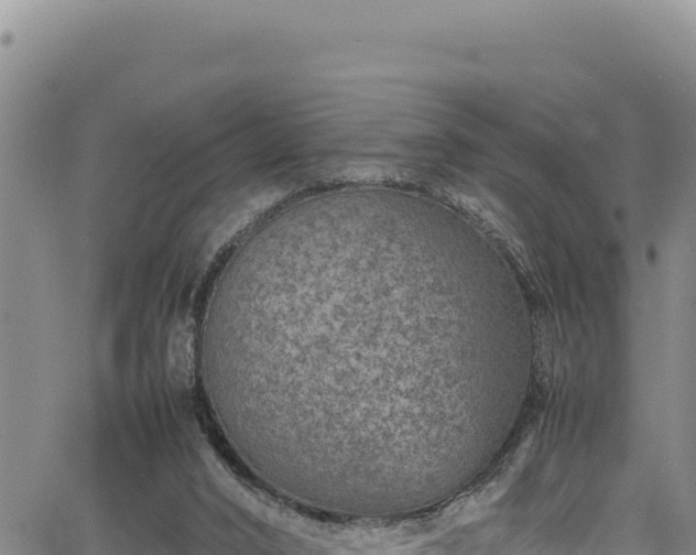 X0000064770016200602131328