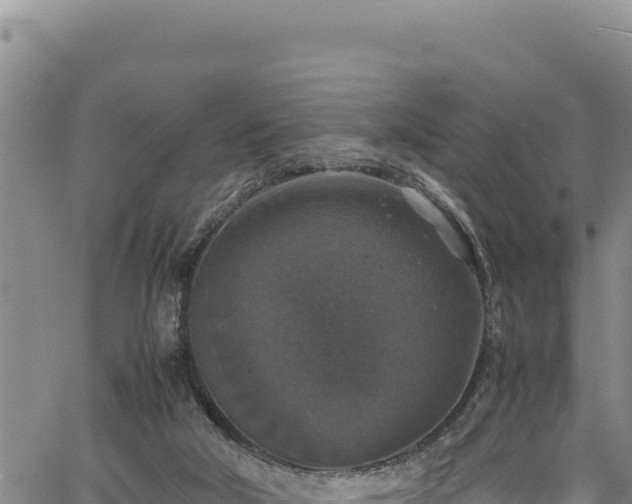 X0000064770018200602131328