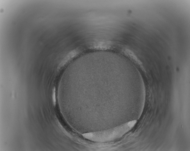 X0000064770020200602131328