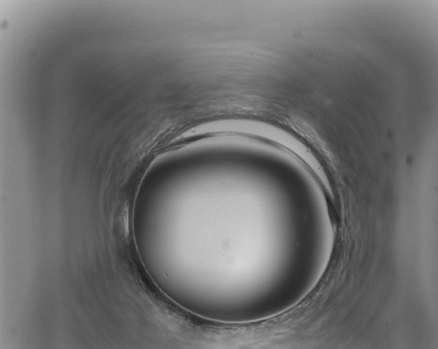 X0000064770021200602131328