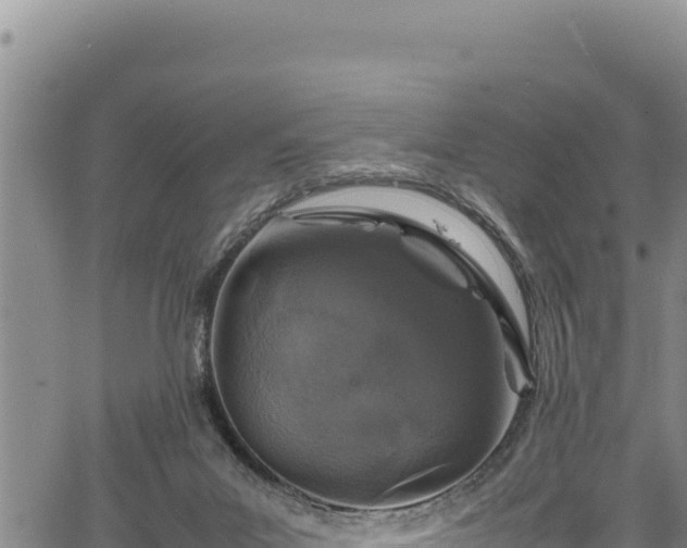 X0000064770023200602131328