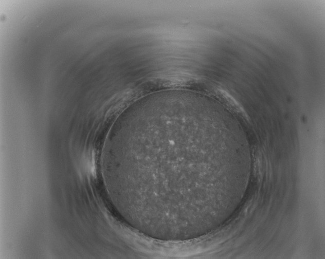 X0000064770026200602131328