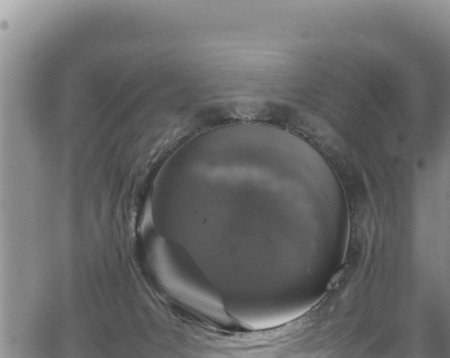 X0000064770031200602131328