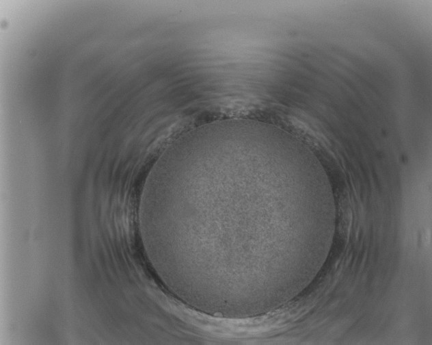 X0000064770034200602131328