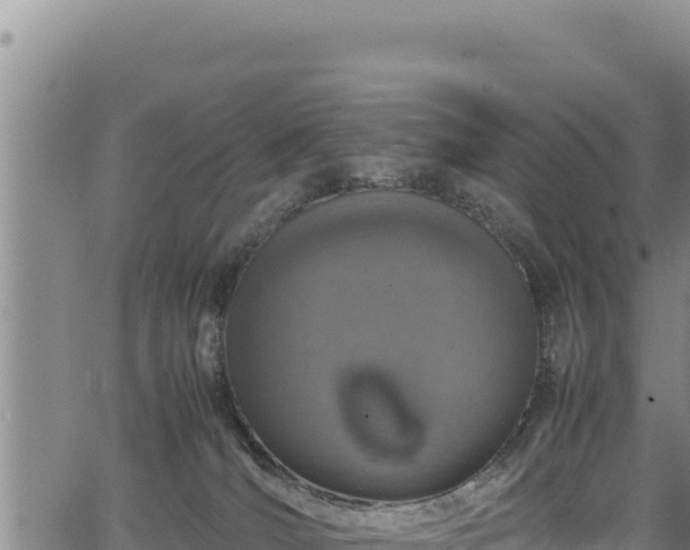 X0000064770036200602131327