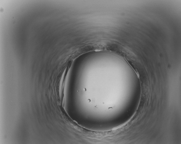 X0000064770037200602131327