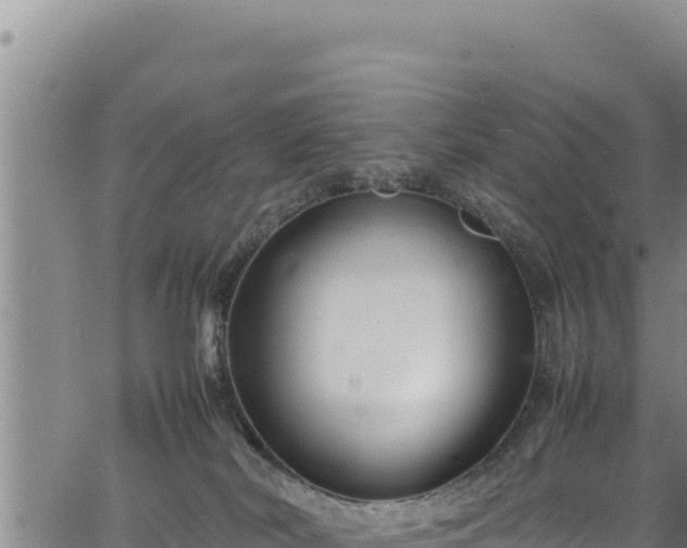 X0000064770038200602131327