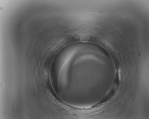 X0000064770039200602131327