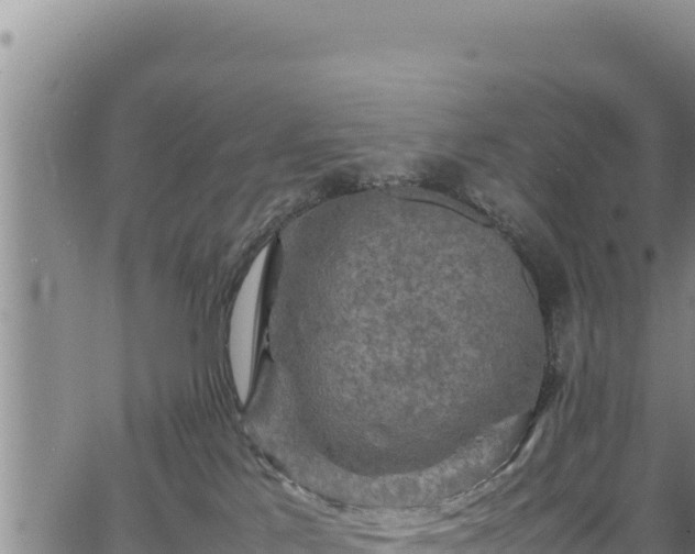 X0000064770041200602131327