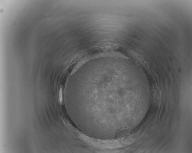 X0000064770042200602131327