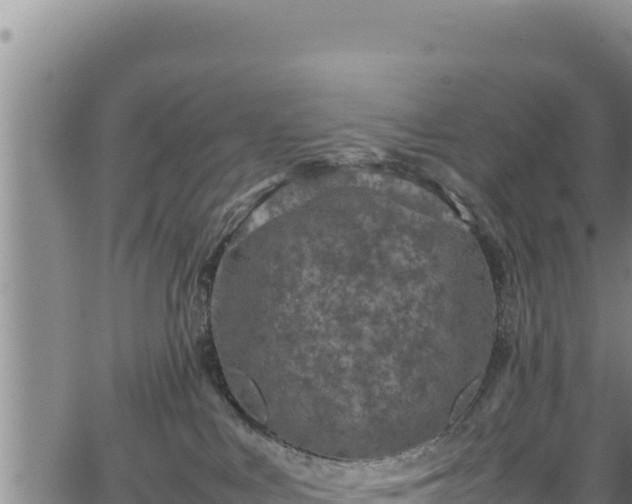 X0000064770043200602131327