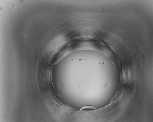 X0000064770045200602131327