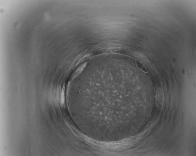 X0000064770046200602131327