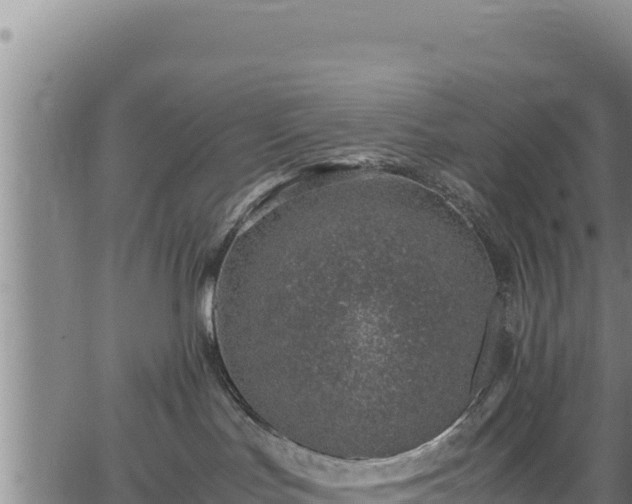 X0000064770047200602131327