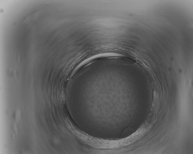 X0000064770048200602131327