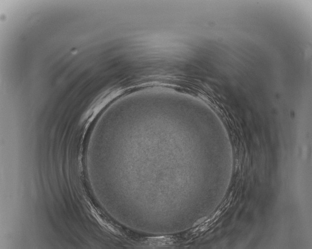 X0000064770050200602131327