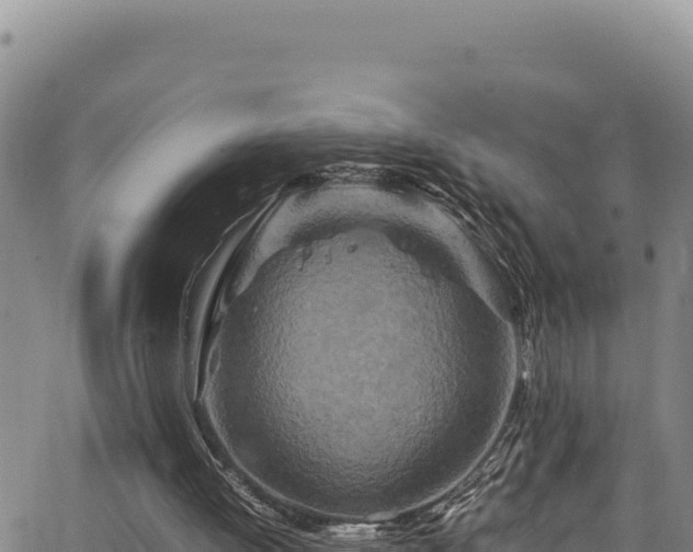 X0000064770052200602131327