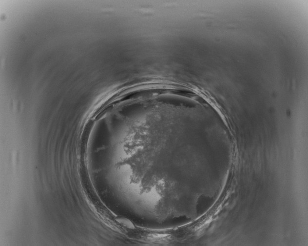 X0000064770055200602131327