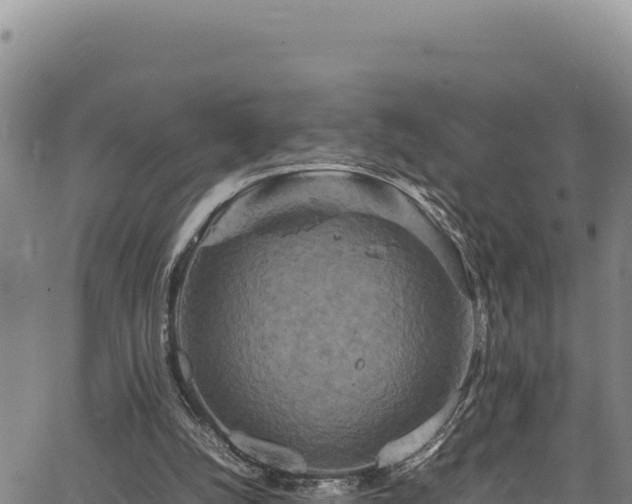 X0000064770056200602131327