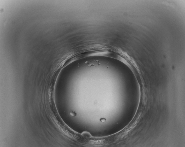 X0000064770057200602131327