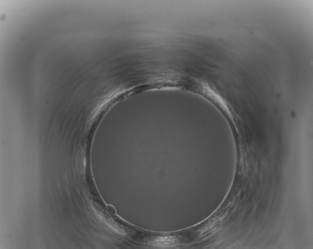 X0000064770059200602131327