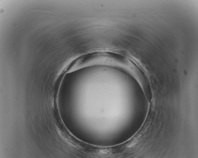 X0000064770060200602131327