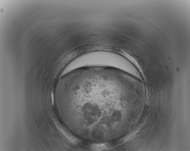 X0000064770061200602131327