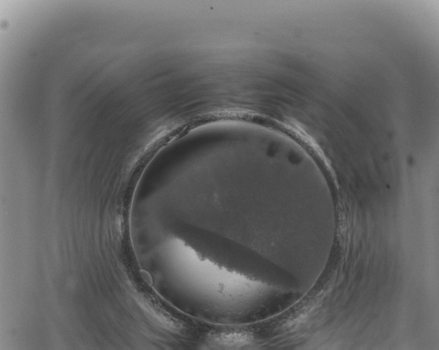 X0000064770063200602131327