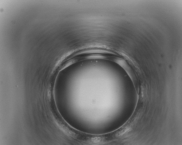 X0000064770064200602131327