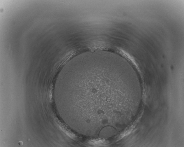 X0000064770065200602131327