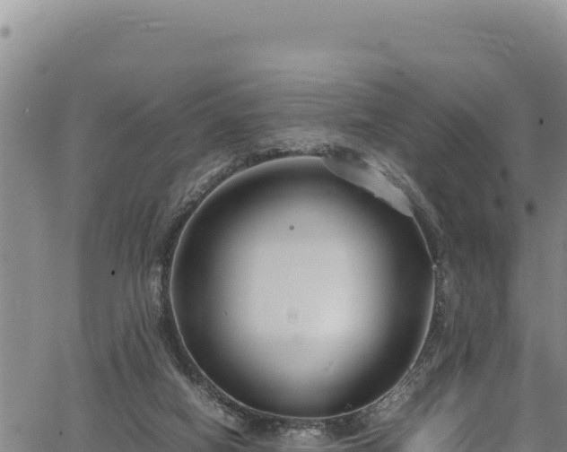 X0000064770066200602131327