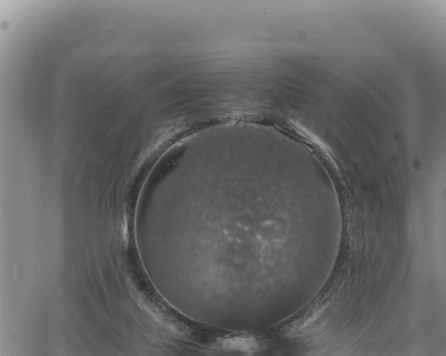 X0000064770067200602131327