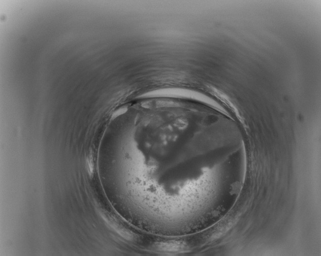 X0000064770069200602131327