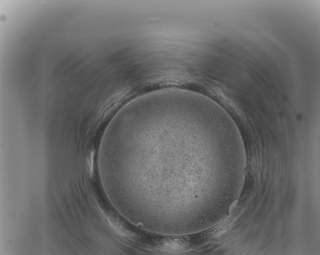 X0000064770070200602131327