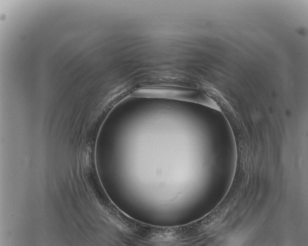 X0000064770071200602131327